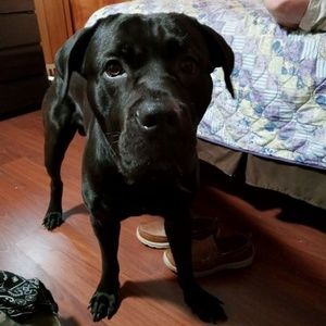 Meet your Posher, Jamie